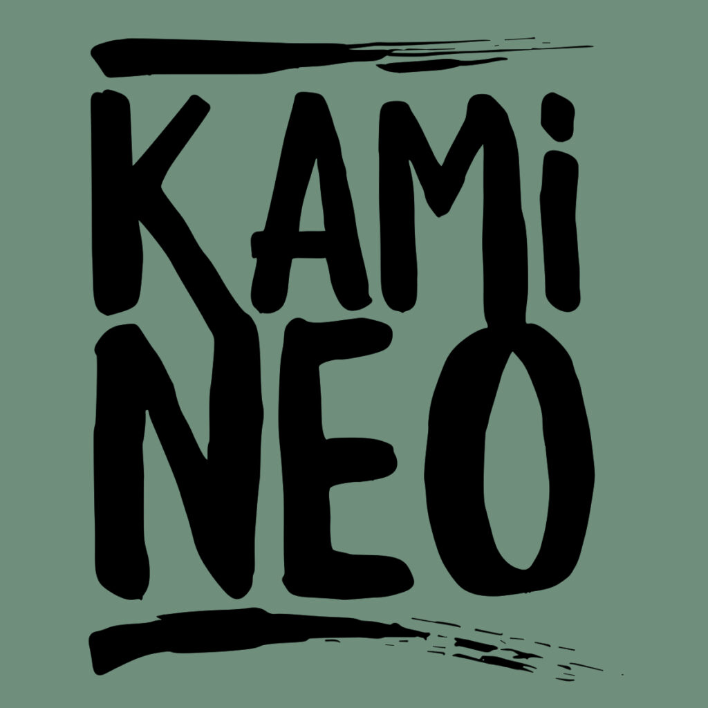 logo-kamineo
