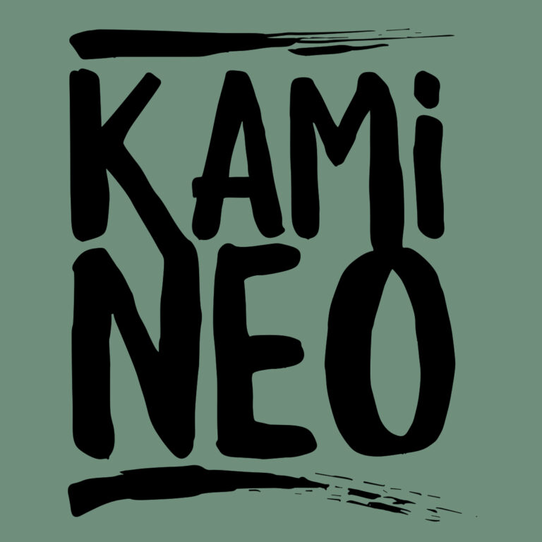 logo-kamineo